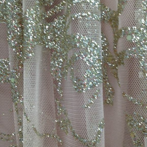 Blush Glitter Gown - Picture 11 of 12